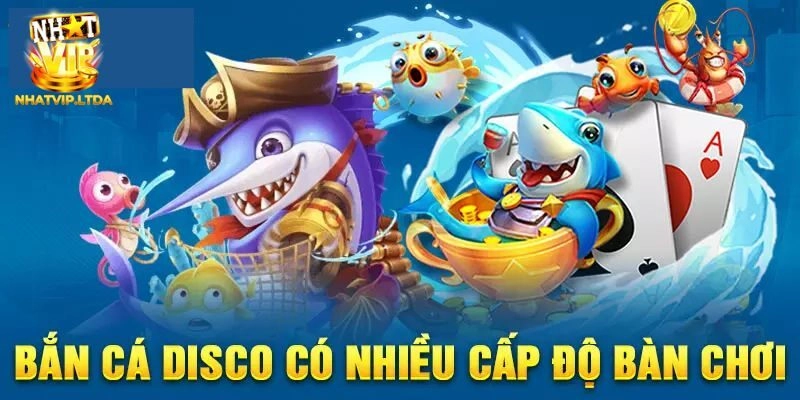 Đánh giá những điểm nổi bật của Fishing Disco