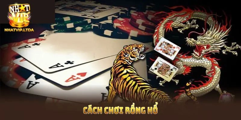 Hướng dẫn cách chơi rồng hổ cách win