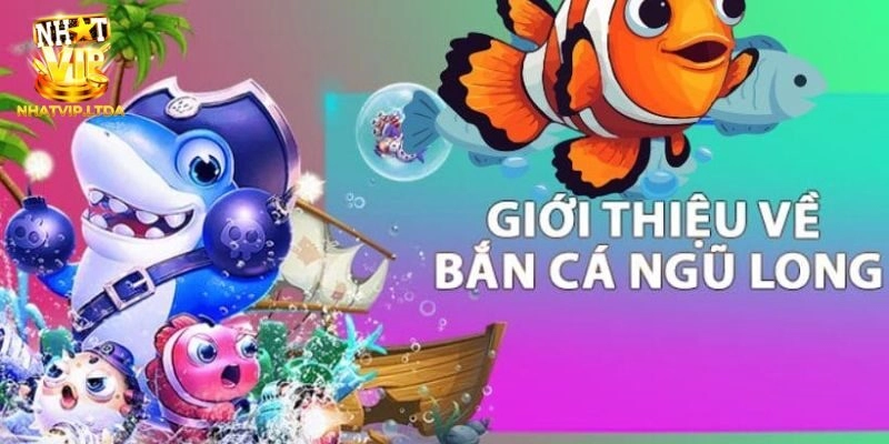 Giới thiệu bắn cá ngũ long