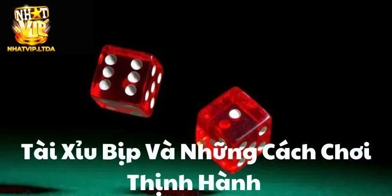 Dấu hiệu tài xỉu bịp