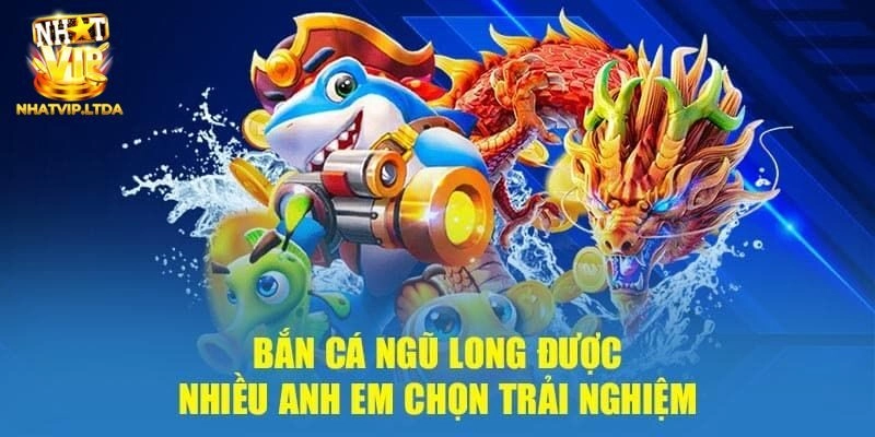 Bắn Cá Ngũ Long Nhatvip – Chơi Game Nhận Thưởng Khủng